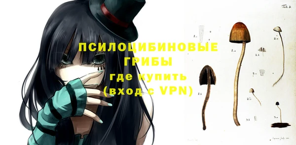 mdpv Переславль-Залесский