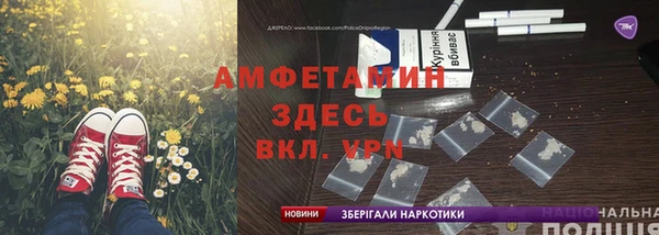 прущие грибы Покачи