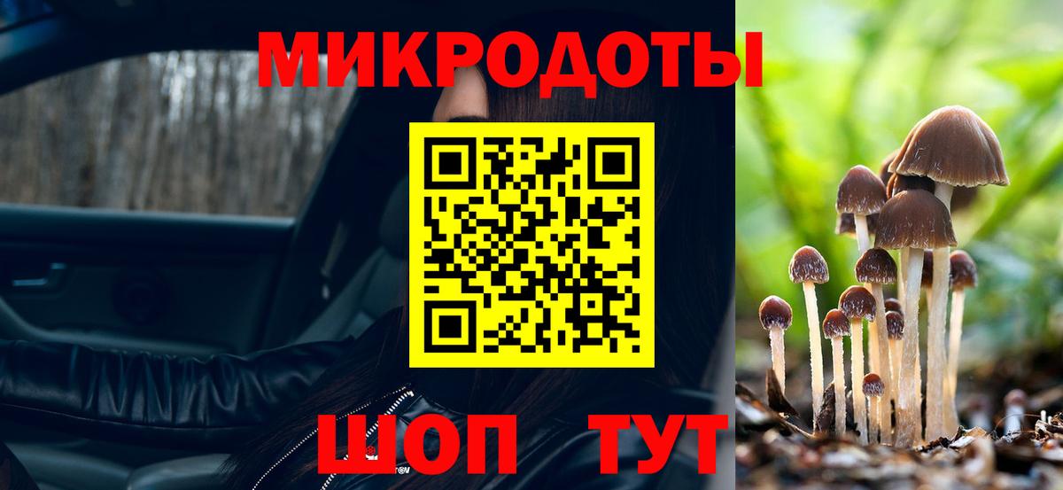 Галлюциногенные грибы прущие грибы Балашов