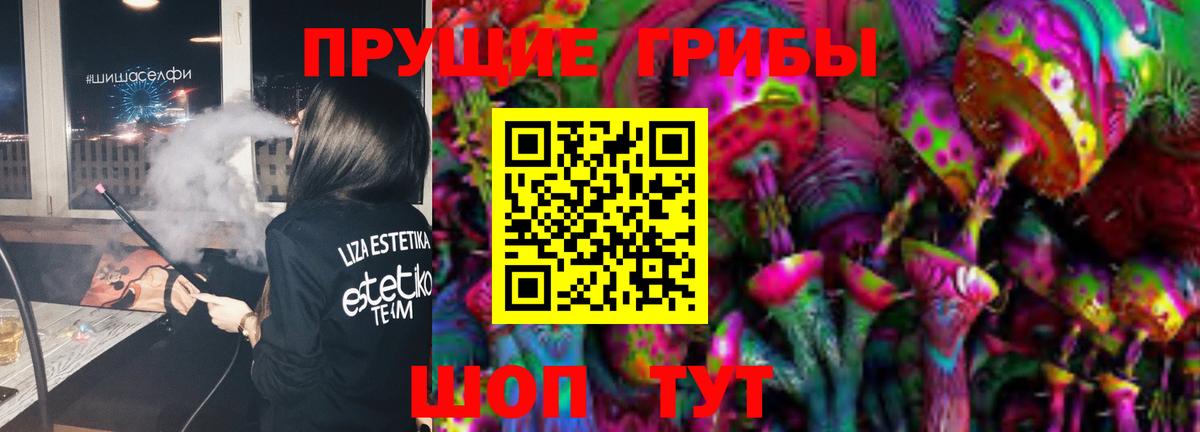 Балашов  Галлюциногенные грибы Psilocybe  Вход с VPN  Псилоцибиновые грибы GOLDEN TEACHER 