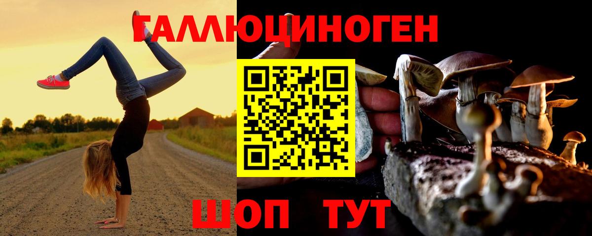 Псилоцибиновые грибы Psilocybe  Псилоцибиновые грибы Psilocybe  Балашов 